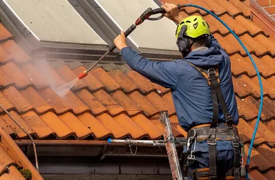 Démoussage et hydrofuge de toiture à Mignovillard